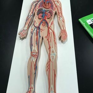 Meet your Posher, Lizeth